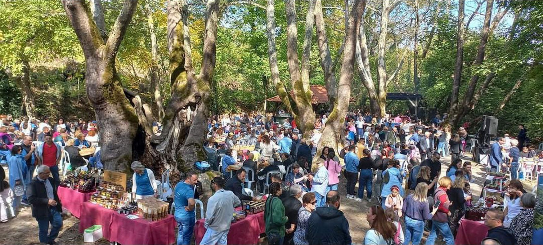 Πλήθος κόσμου κάτω από τα αιωνόβια πλατάνια στο Τρανό Πηγάδι της Φυτειάς, την ημέρα της γιορτής